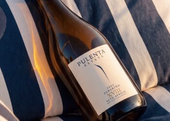 Pulenta Estate presenta su primer Albariño, una apuesta nacida en los viñedos de Mendoza
