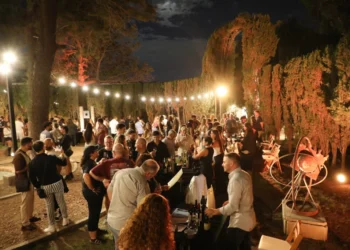 Dionisias: las mujeres que eligen y hacen vino